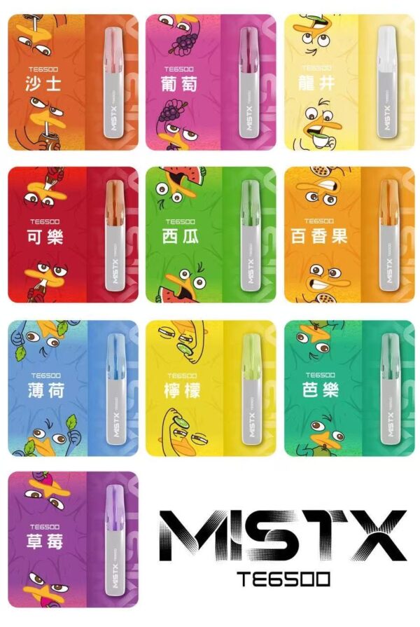 鴨嘴獸拋棄式6500口 便宜好用